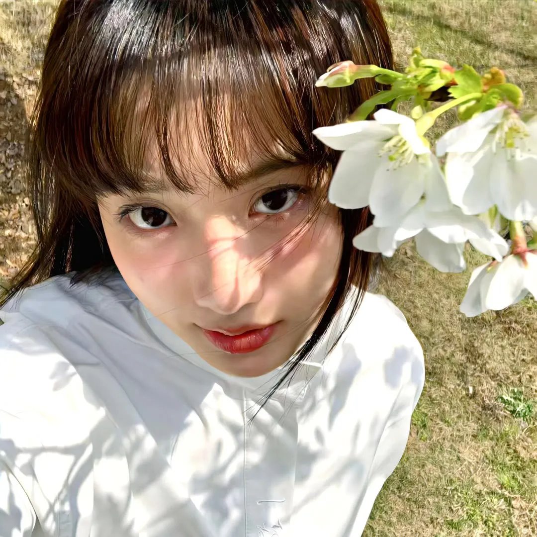大唐女巡按 封面