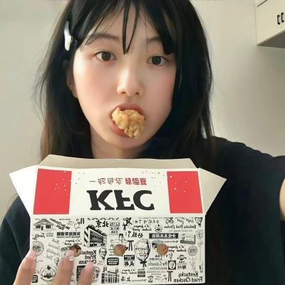 日巡者 封面